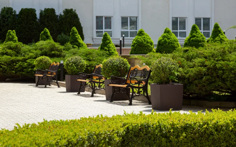 территория санаторий плаза спа кисловодск