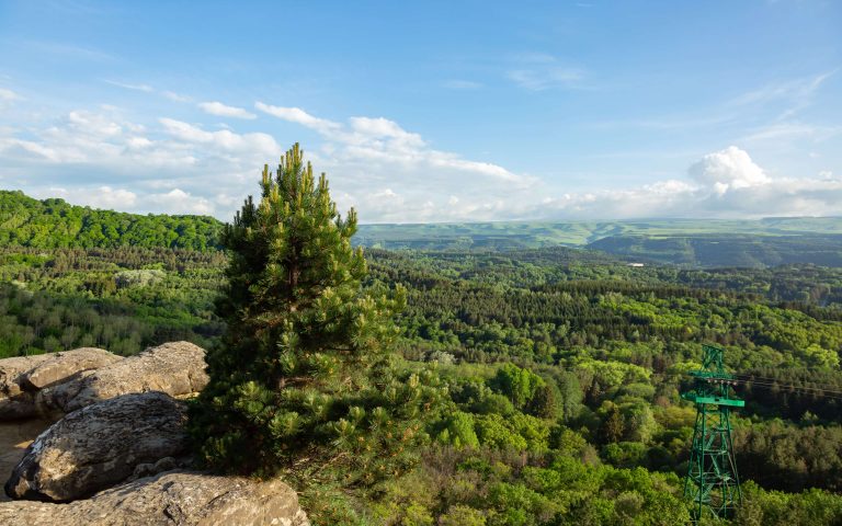 Парк г.Кисловодск